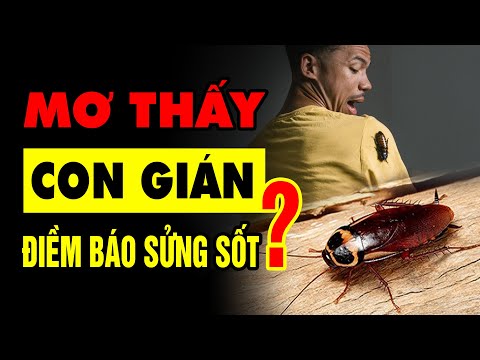 Gián bò vào người là điềm báo gì?