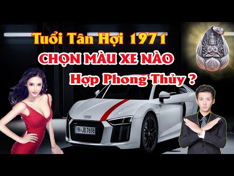 Nam nữ Tân Hợi 1971 mua xe màu gì? Nam nữ Tân Hợi 1971 mua xe màu gì?