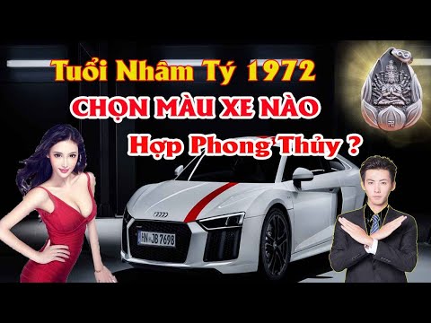 Nam tuổi Nhâm Tý 1972 mua xe màu gì? Nam tuổi Nhâm Tý 1972 mua xe màu gì?