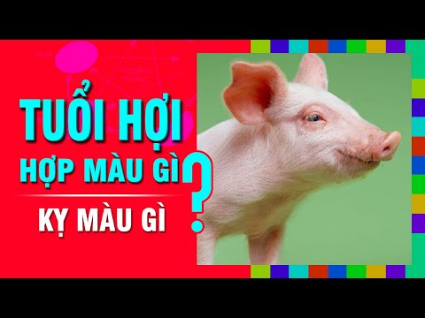 Nam Nhâm Tý 1972 mệnh Thủy không hợp với màu vàng Nam Nhâm Tý 1972 mệnh Thủy không hợp với màu vàng