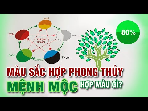 Nam Nhâm Tý 1972 mệnh Thủy không hợp với màu hồng Nam Nhâm Tý 1972 mệnh Thủy không hợp với màu hồng