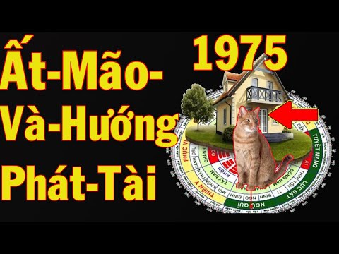 Nam Ất Mão 1975 mệnh Kim hợp với màu xám Nam Ất Mão 1975 mệnh Kim hợp với màu xám