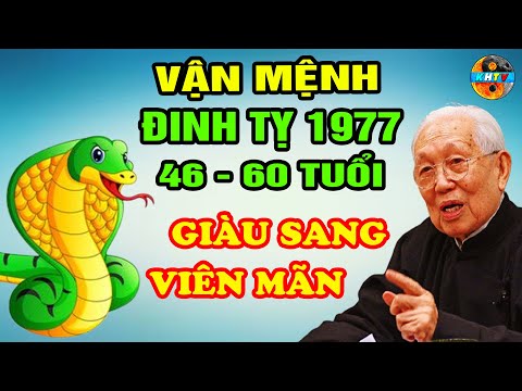 Nữ Đinh Tỵ 1977 mệnh Thủy hợp với màu xám Nữ Đinh Tỵ 1977 mệnh Thủy hợp với màu xám