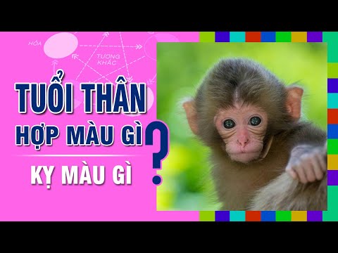 Nữ Đinh Tỵ 1977 mệnh Thủy không hợp với màu vàng Nữ Đinh Tỵ 1977 mệnh Thủy không hợp với màu vàng