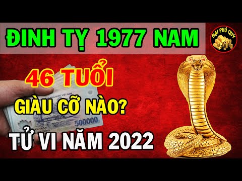 Nữ Đinh Tỵ 1977 mệnh Thủy hợp với màu xanh lục Nữ Đinh Tỵ 1977 mệnh Thủy hợp với màu xanh lục