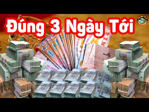 Nữ Đinh Tỵ 1977 mệnh Thủy không hợp với màu đỏ. Nữ Đinh Tỵ 1977 mệnh Thủy không hợp với màu đỏ.