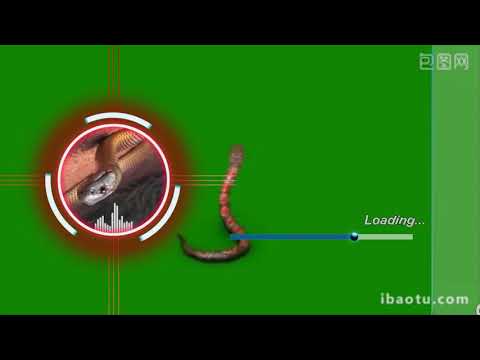 Nữ Đinh Tỵ 1977 mệnh Thủy không hợp với màu tím Nữ Đinh Tỵ 1977 mệnh Thủy không hợp với màu tím