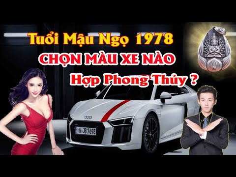 Nam Nữ Mậu Ngọ 1978 mua xe màu gì? Nam Nữ Mậu Ngọ 1978 mua xe màu gì?