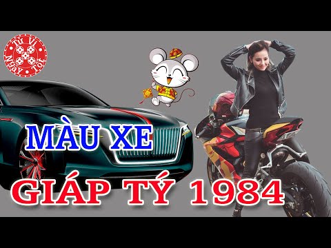 Nam nữ Giáp Tý 1984 mua xe màu gì? Nam nữ Giáp Tý 1984 mua xe màu gì?