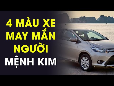 Nam Giáp Tý 1984 mệnh Kim không hợp với màu xanh lam Nam Giáp Tý 1984 mệnh Kim không hợp với màu xanh lam