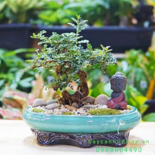 Người sinh năm 1965 - 2025 tuổi Canh Tý nên trồng cây gì?