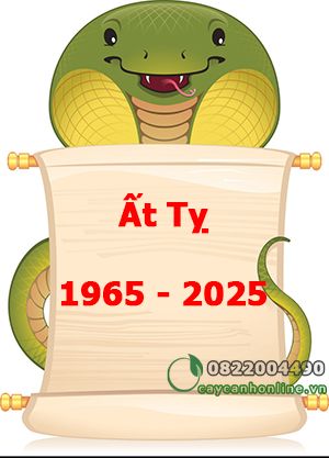 Người sinh năm 1965 - 2025 tuổi Canh Tý nên trồng cây gì?