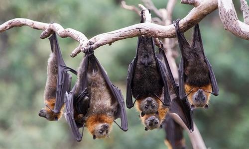 Đó là tính cách của một người đàn ông Đó là tính cách của một người đàn ông