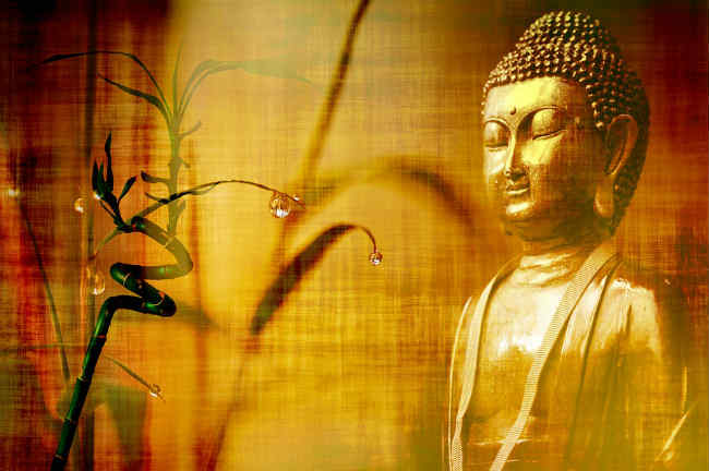 Đức Phật luôn dạy các đệ tử của Ngài khi còn tại thế cũng như trước khi qua đời phải siêng năng tu tập thiền định, vì chỉ có một con đường duy nhất dẫn đến giác ngộ và giải thoát đó là thiền định.