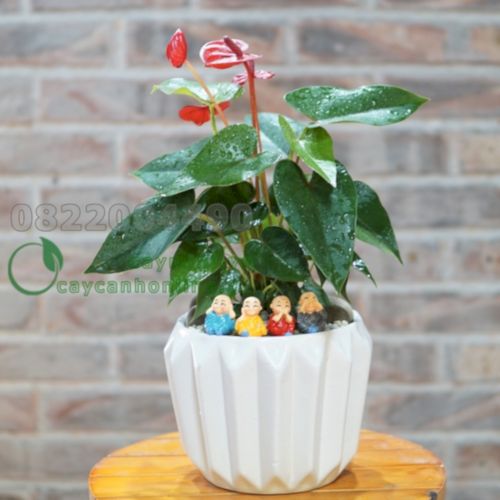 Tử vi năm Kỷ Tỵ 196