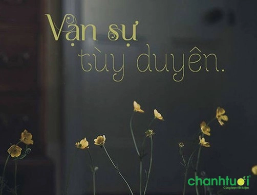 Vậy hoa rơi cửa phật là hoa gì, có ý nghĩa gì?