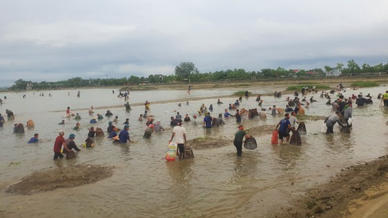 Hàng trăm người háo hức đánh bắt cá từ hồ Đầm Lô, Hà Tĩnh Ảnh 10