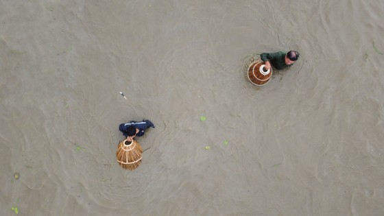 Hàng trăm người háo hức đánh bắt cá từ hồ Đầm Lô, Hà Tĩnh Ảnh 6