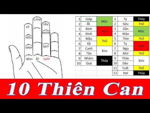 Tìm hiểu mối quan hệ giữa Thiên can, Địa chi, Ngũ hành và các hình ...