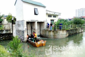 Sự cố nước sông Lam tràn vào khu vực hồ Cầu Trì, Bến Thủy