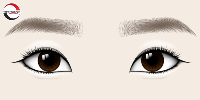 tướng lông mày đàn ông xấu