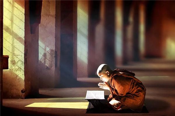 Nhân quả của tình yêu