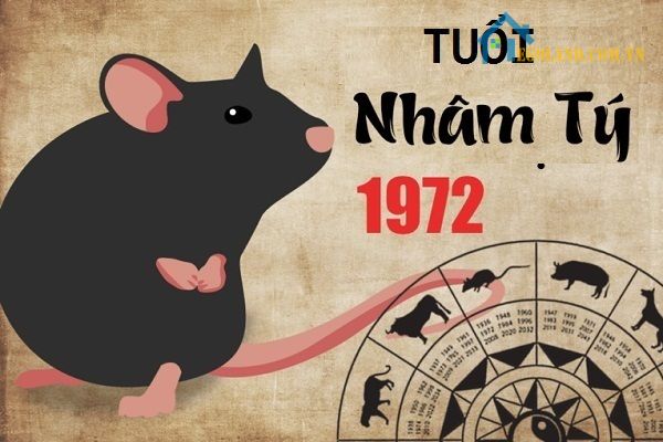 Sinh năm Nhâm Tý 1972 hợp hướng nào, kỵ hướng nào? 5 Tuổi Nhâm Tý 1972