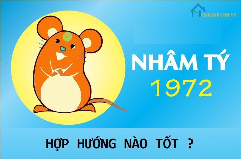 Sinh năm Nhâm Tý 1972 hợp hướng nào, kỵ hướng nào? 6 Hướng nào hợp tuổi?