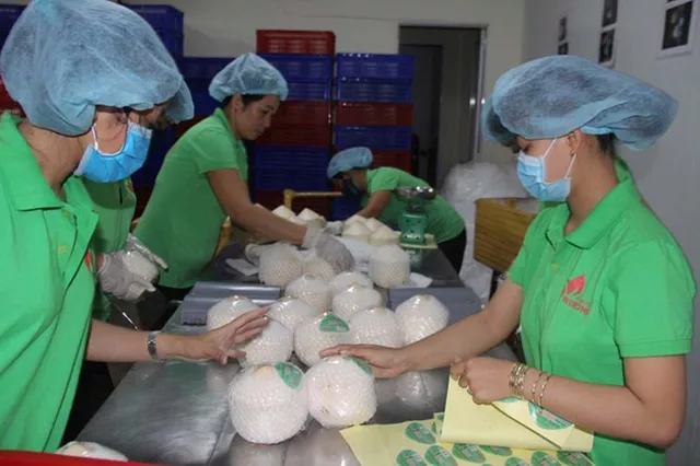 Nông sản Việt Nam để lại dấu ấn trên trường quốc tế - Ảnh 1.