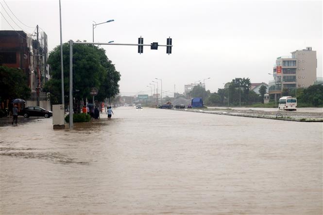 Nam Định, Thanh Hóa, Nghệ An, Phú Thọ thiệt hại do mưa lớn - Ảnh 8.
