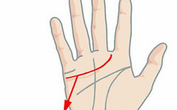 Xem lòng bàn tay của tình yêu