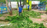 'Áo xanh' Đắp làng giúp dân sau bão Noru