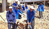 Đoàn thanh niên Quảng Nam tham gia khắc phục hậu quả bão số 4
